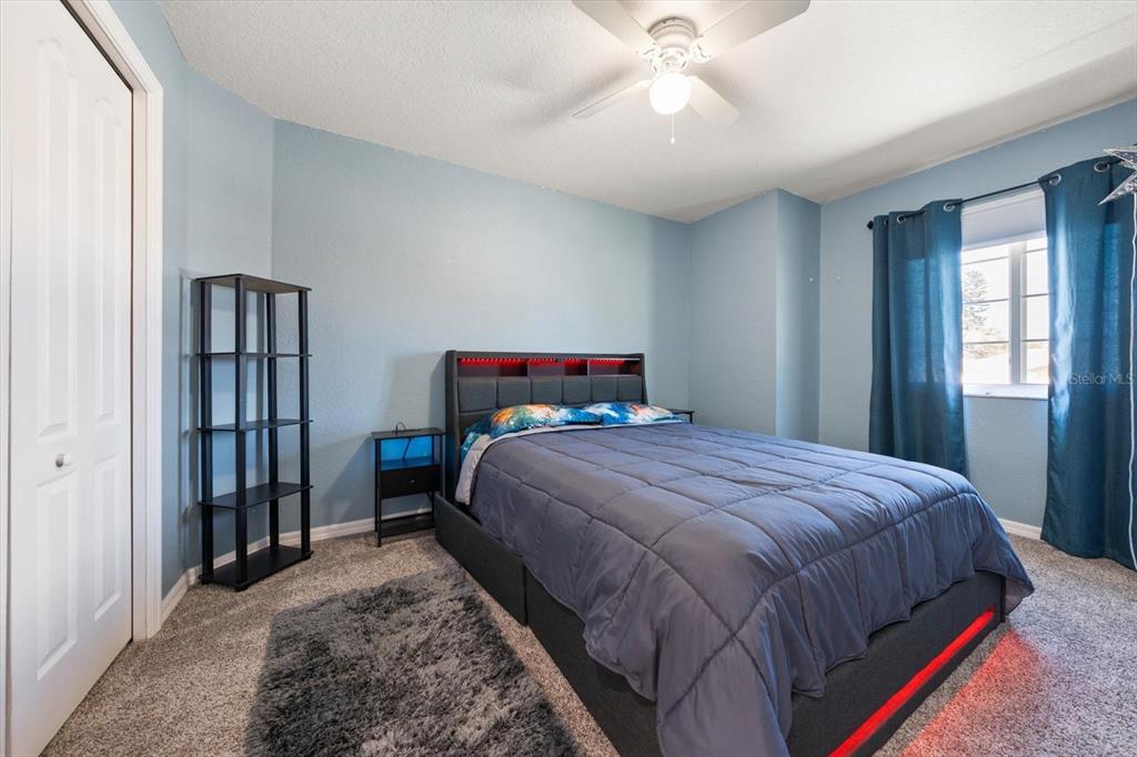 1633 Haywick Terrace Dunedin, FL 34698 - Photo 23 of 32