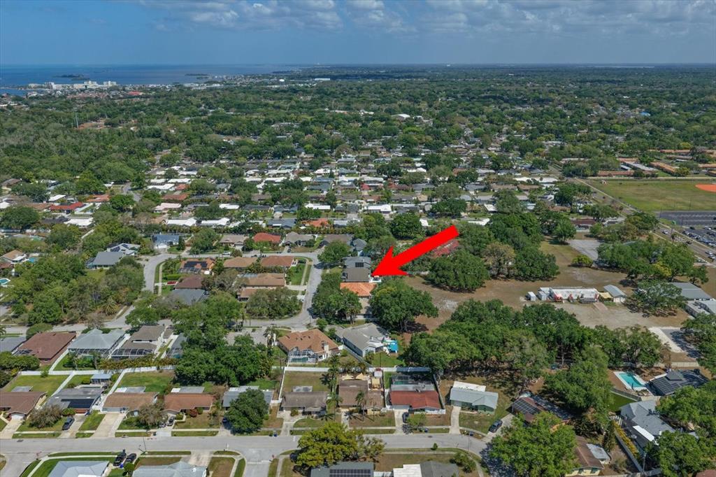 1633 Haywick Terrace Dunedin, FL 34698 - Photo 28 of 32