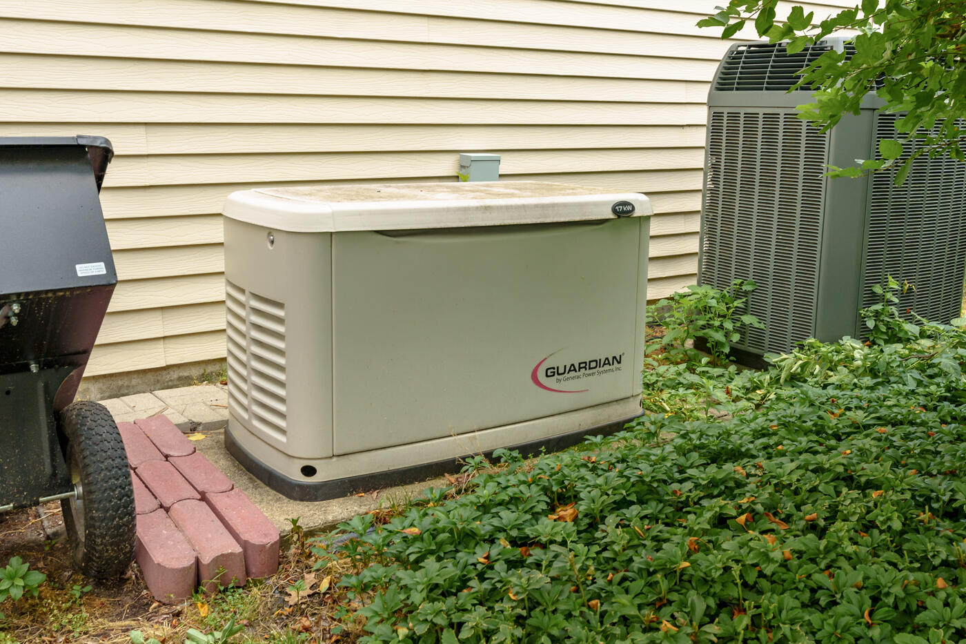 9158 Cotters Ridge Road Richland, MI 49083 - Photo 27 of 40 Generac