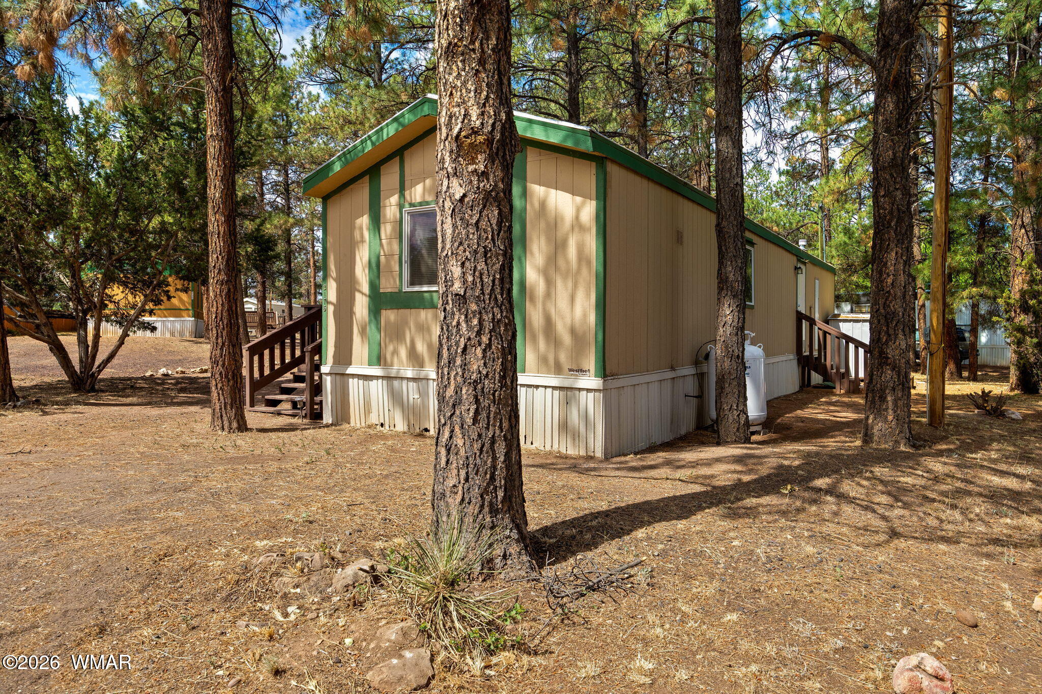 2175 Ruby Overgaard, AZ 85933 - Photo 3 of 24