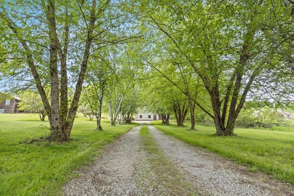 347 Lee Road Burgettstown, PA 15021 - Photo 6 of 48 a huge green field with lots of trees