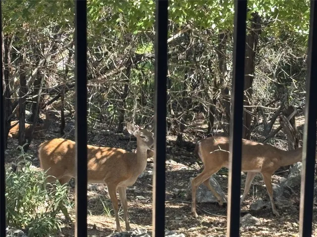 $1,500 | 358 Shady Bluff Drive, Unit B, Wimberley, TX 78676