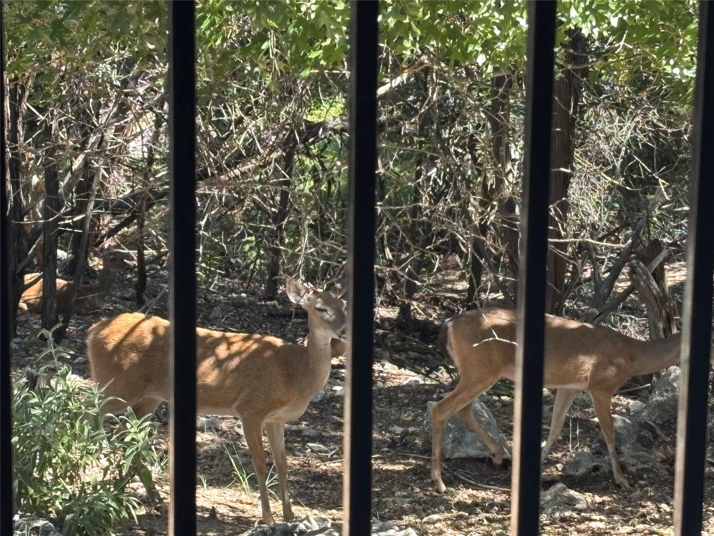 358 Shady Bluff Drive, Unit B Wimberley, TX 78676 - Photo 29 of 30 Exterior view