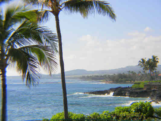 1661 Pe'e Road, Unit 1302 Koloa, HI 96756 - Photo 16 of 24 Gallery Image 16