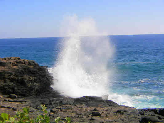 1661 Pe'e Road, Unit 1302 Koloa, HI 96756 - Photo 17 of 24 Gallery Image 17