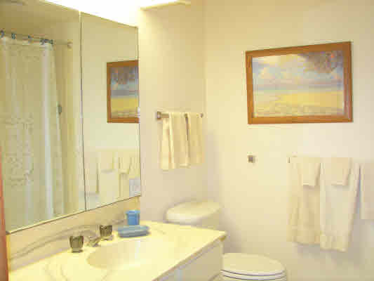 1661 Pe'e Road, Unit 1302 Koloa, HI 96756 - Photo 10 of 24 Gallery Image 10