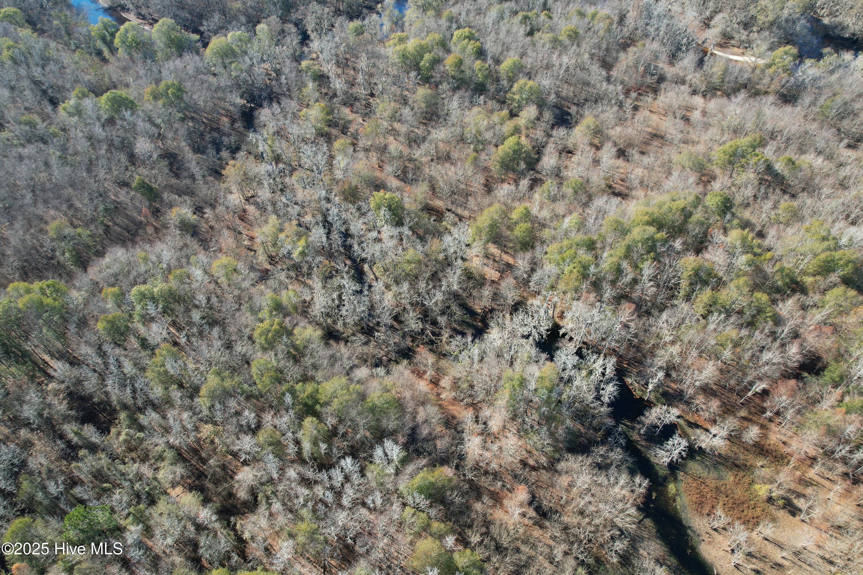 0 Macedonia Church Road Evergreen, NC 28438 - Photo 4 of 34 Image 4