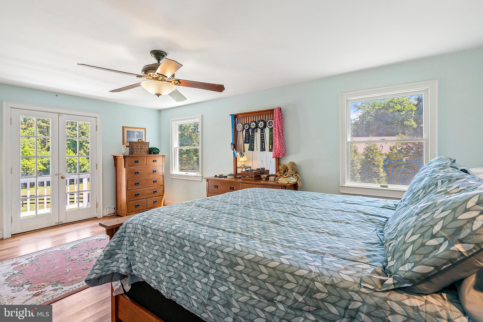 9045 Springs Road Warrenton, VA 20186 - Photo 27 of 50 Large upstairs bedroom with Juliette balcony
