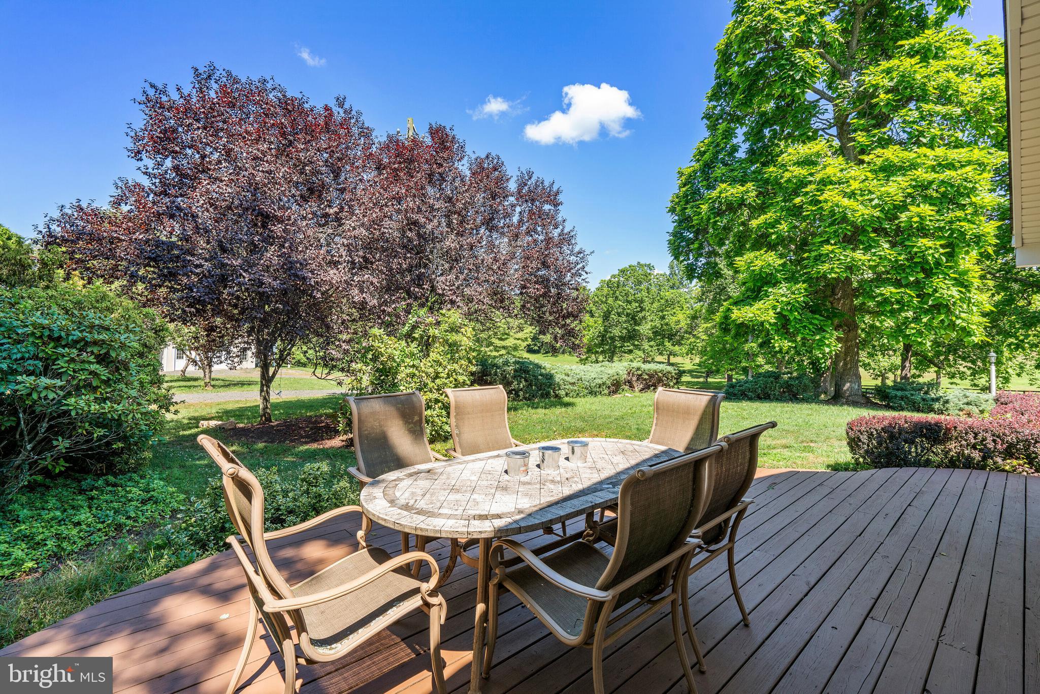 9045 Springs Road Warrenton, VA 20186 - Photo 28 of 50 Deck to enjoy mature trees and landscaping