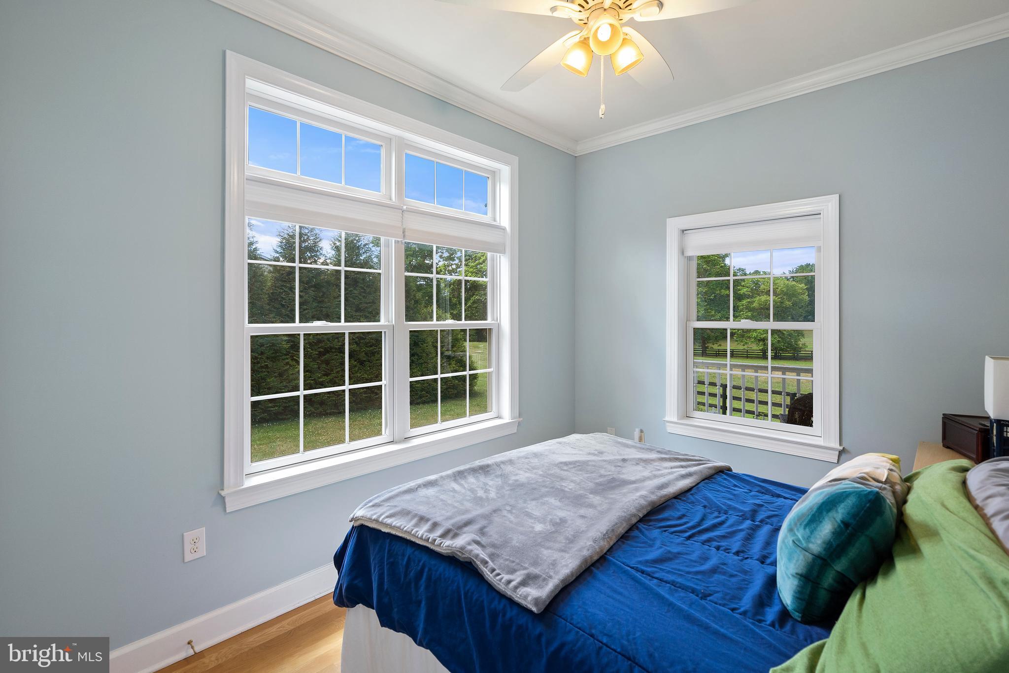 9045 Springs Road Warrenton, VA 20186 - Photo 35 of 50 Large windows in bedrooms