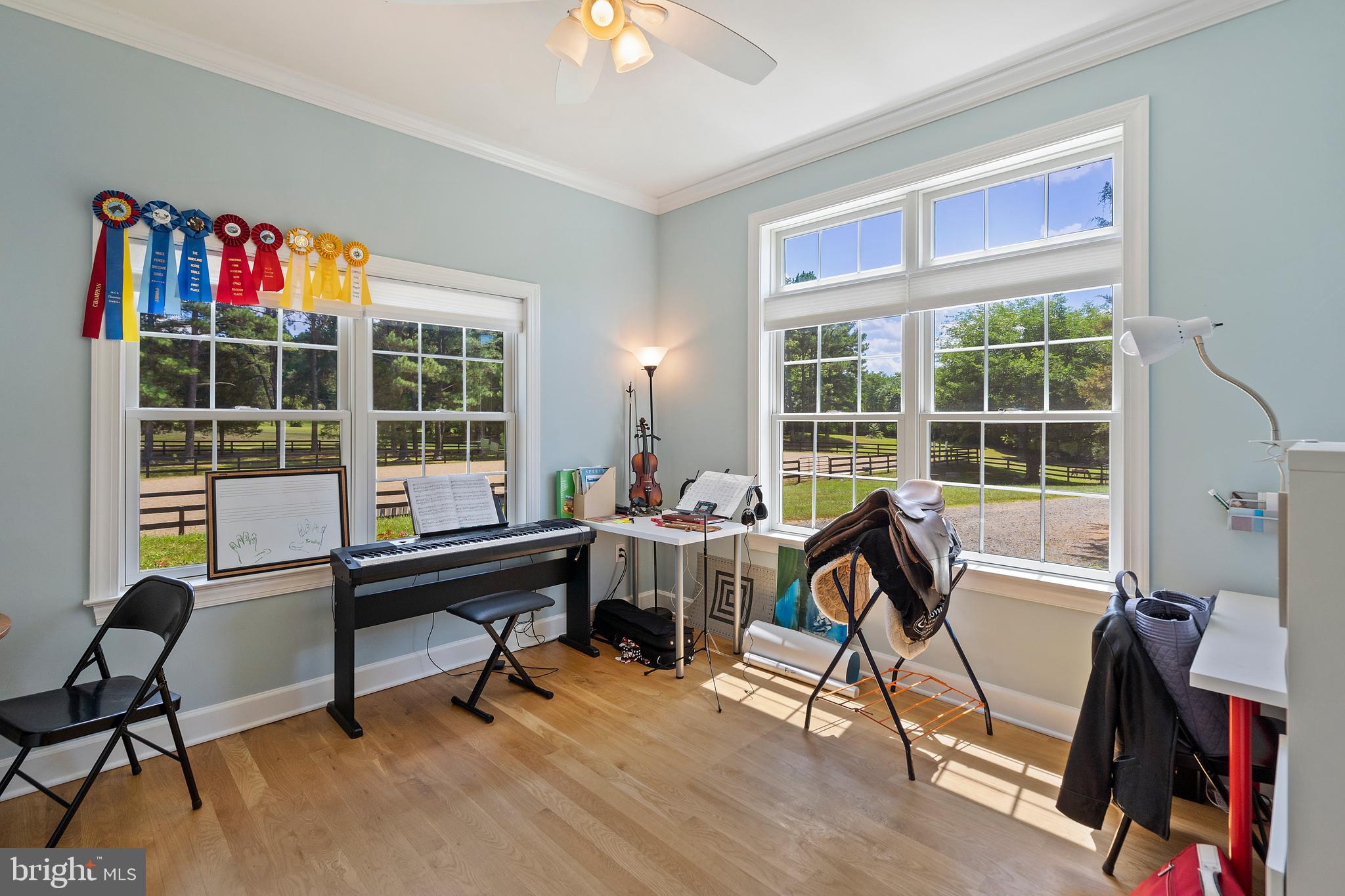 9045 Springs Road Warrenton, VA 20186 - Photo 37 of 50 Second light filled bedroom