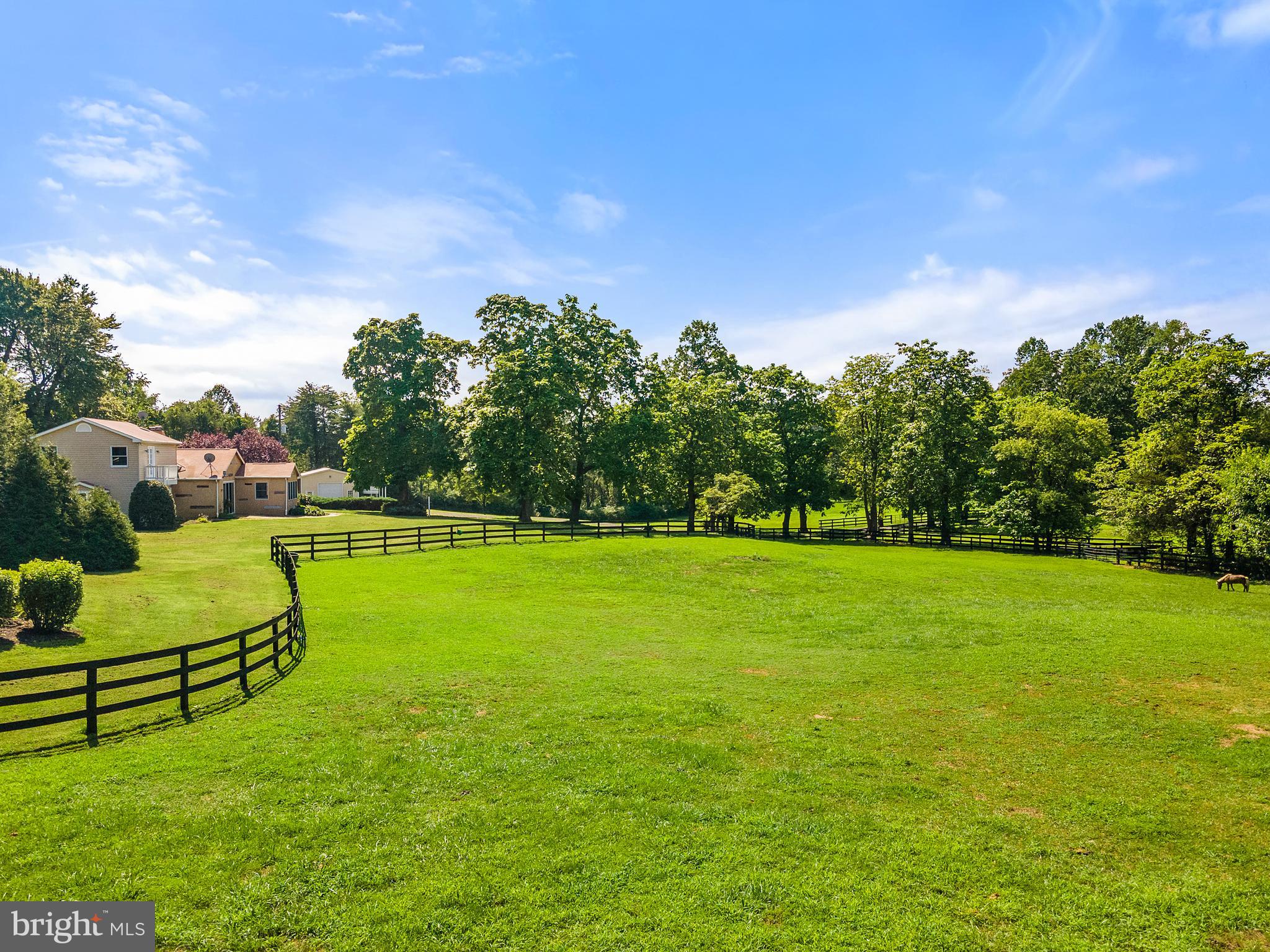 9045 Springs Road Warrenton, VA 20186 - Photo 45 of 50 Black board fencing surrounding pastures