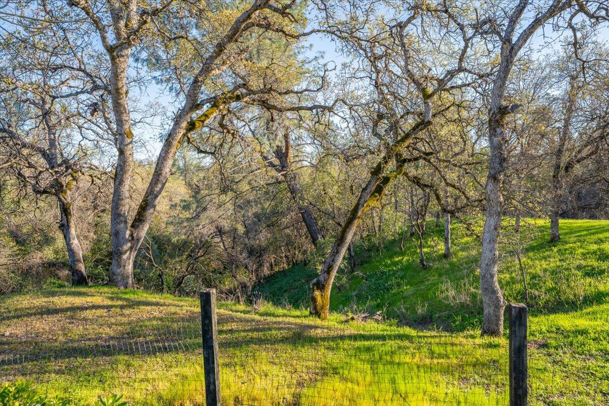 2995 Howard Drive Redding, CA 96001 - Photo 43 of 49 Plenty of Privacy