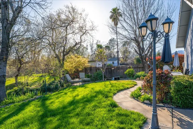 a view of a yard with trees