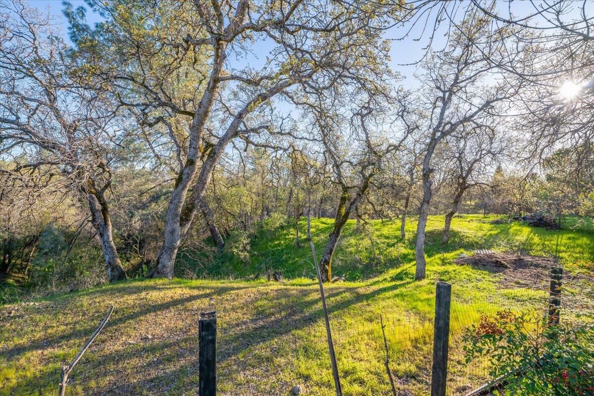 2995 Howard Drive Redding, CA 96001 - Photo 52 of 57 a view of a yard with trees