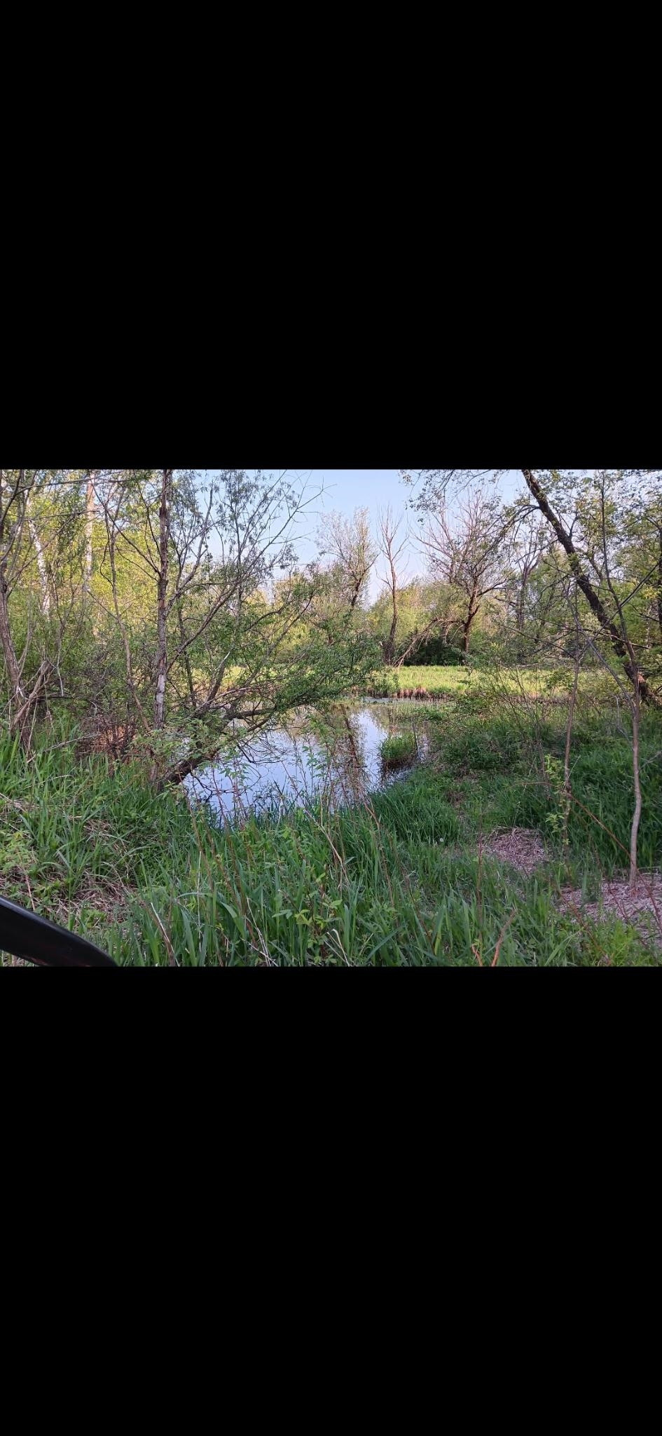 L1 State Highway Montello, WI 53949 - Photo 4 of 8