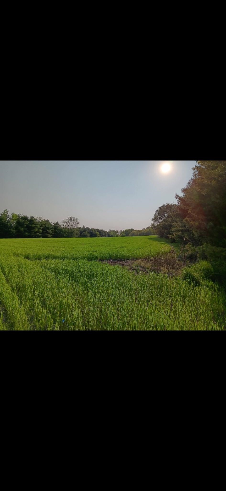 L1 State Highway Montello, WI 53949 - Photo 8 of 8