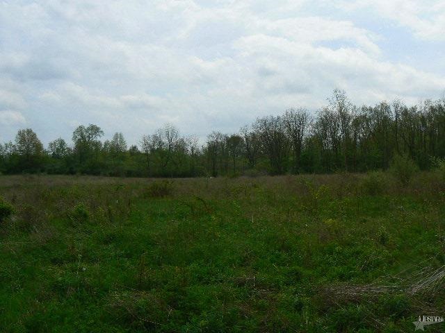 13224 Puff Road Fort Wayne, IN 46845 - Photo 3 of 8 Gallery Image 3