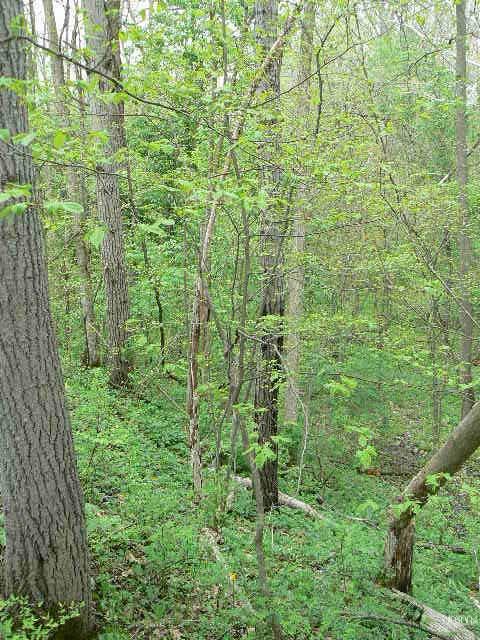 13224 Puff Road Fort Wayne, IN 46845 - Photo 7 of 8 Gallery Image 7