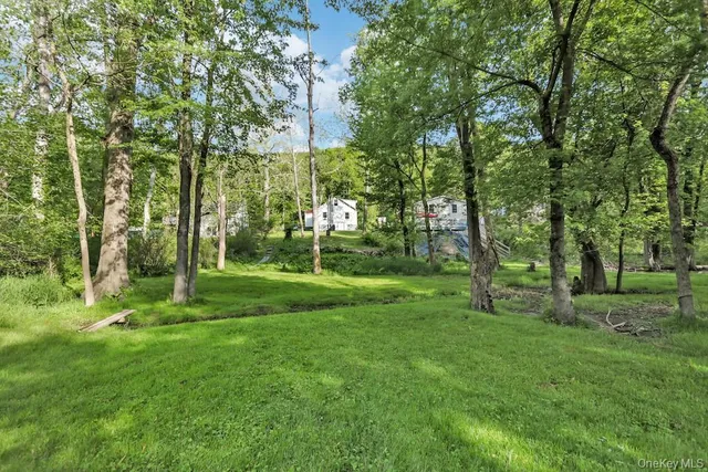a view of a park with large trees