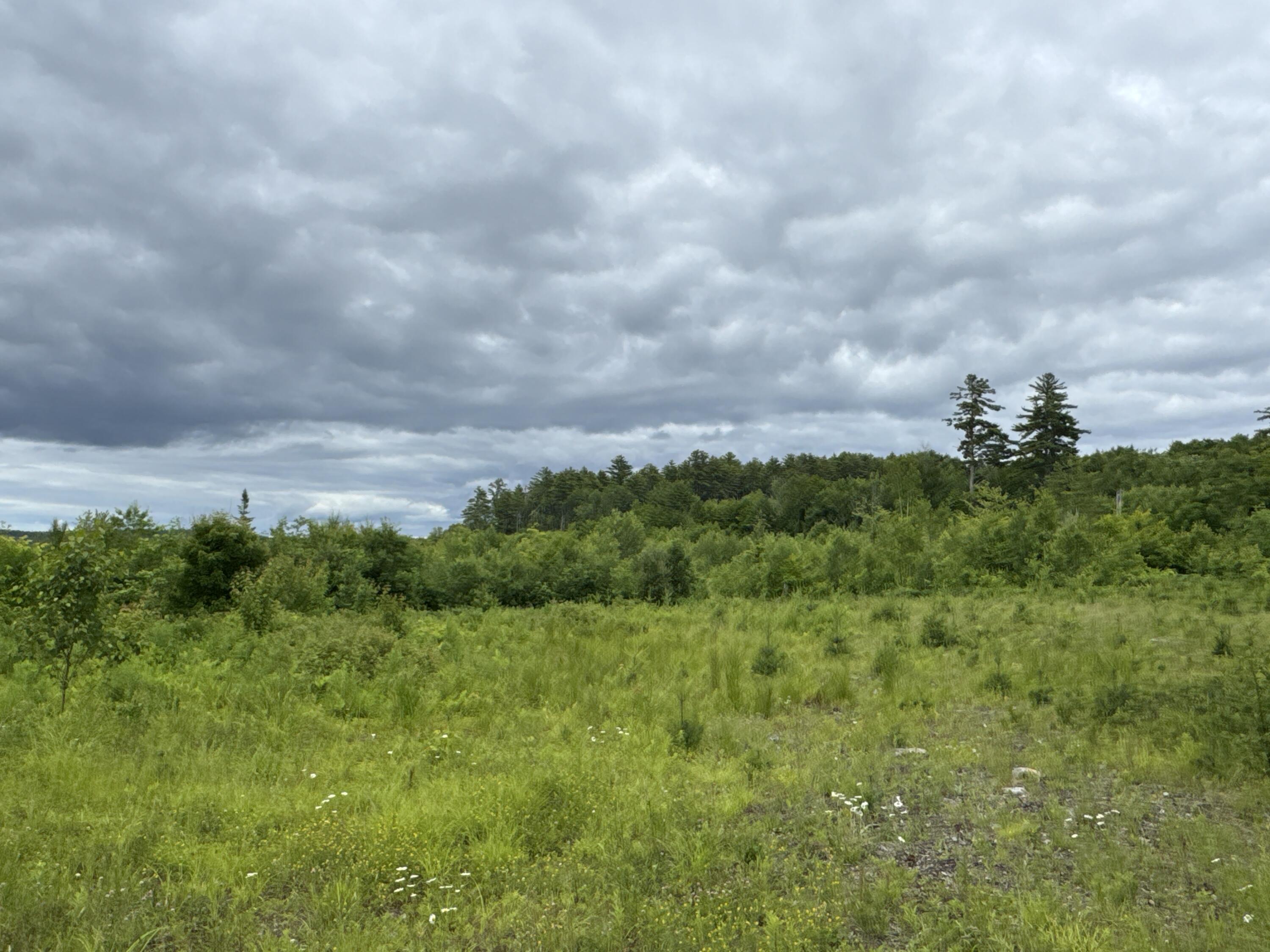 L52 Bridgton Road Harrison, ME 04040 - Photo 6 of 29