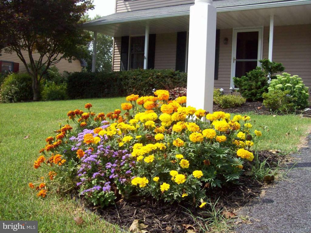 1835 North Eden Road Lancaster, PA 17601 - Photo 3 of 11