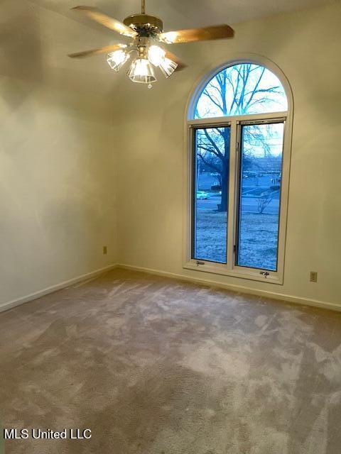 1185 Goodman Road East Southaven, MS 38671 - Photo 16 of 20 IMG_5955