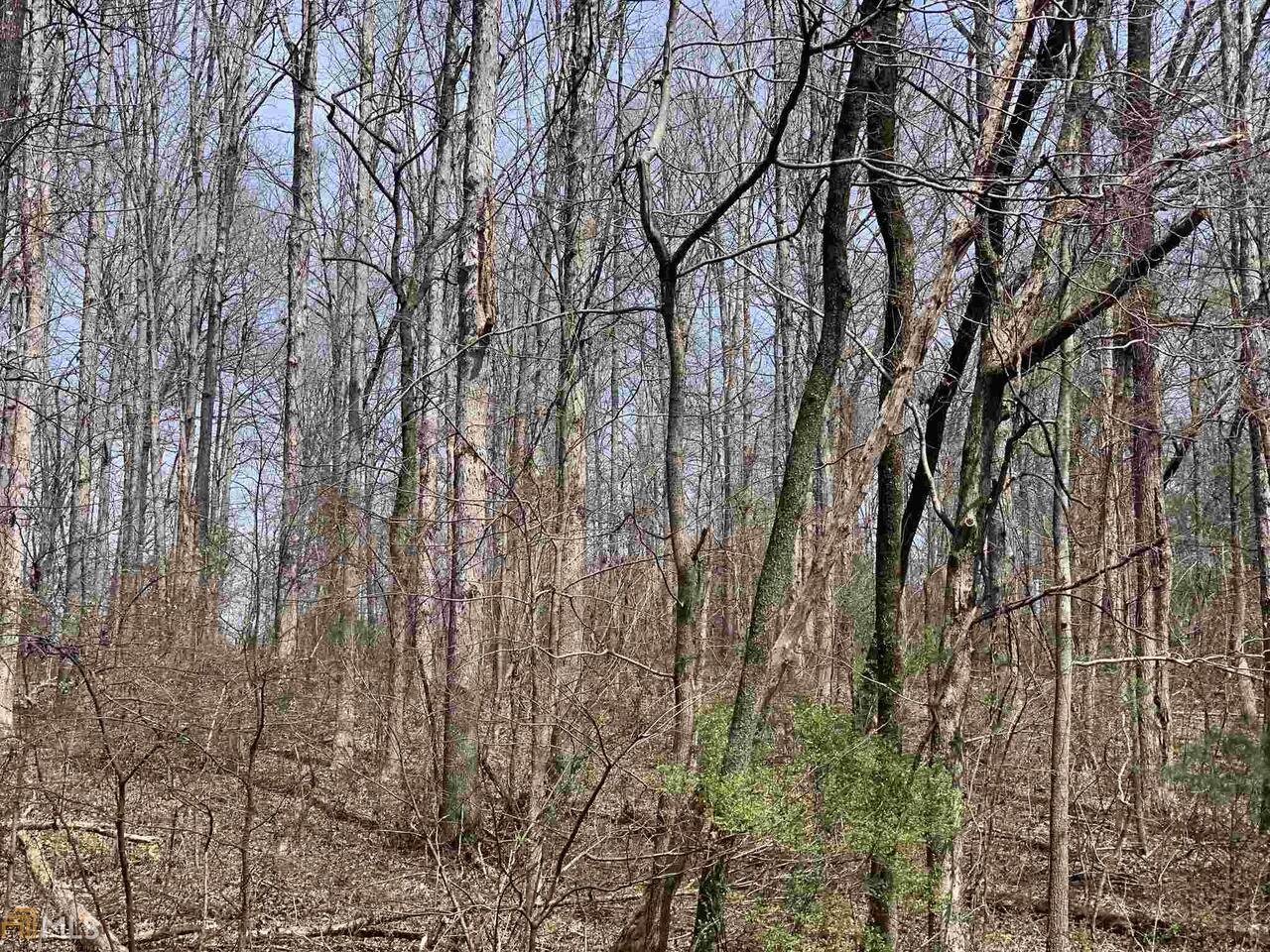 0 Ricky West Road Cleveland, GA 30528 - Photo 1 of 1