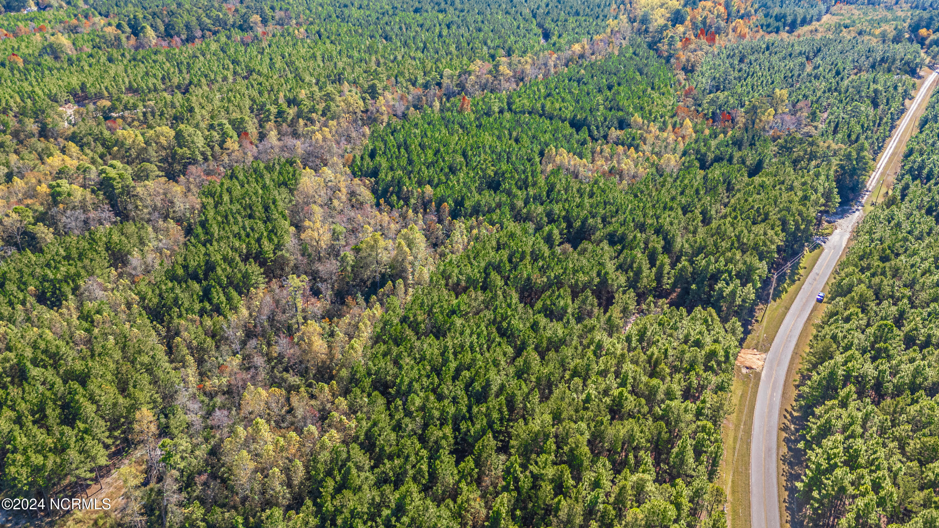 Tbd Tbd Mcbride Road Jackson Springs, NC 27281 - Photo 11 of 15 Lot 12 The Farm 8.7 Acres