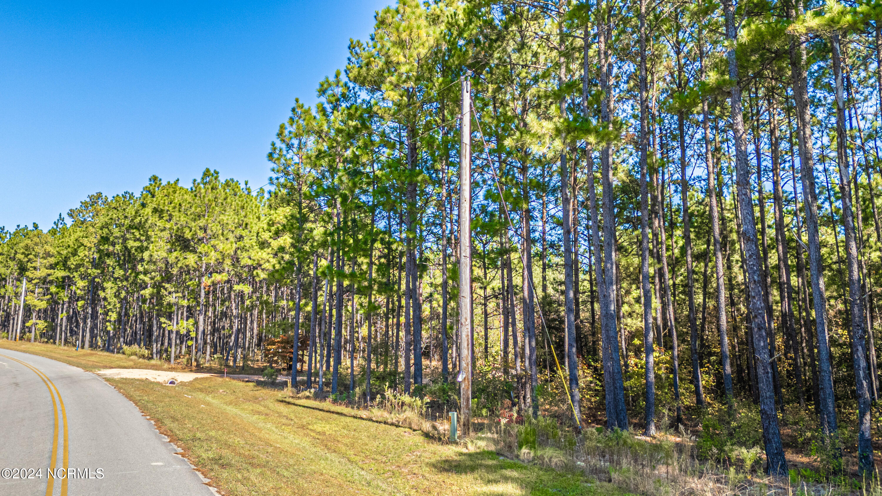 Tbd Tbd Mcbride Road Jackson Springs, NC 27281 - Photo 14 of 15 Lot 12 The Farm 8.7 Acres