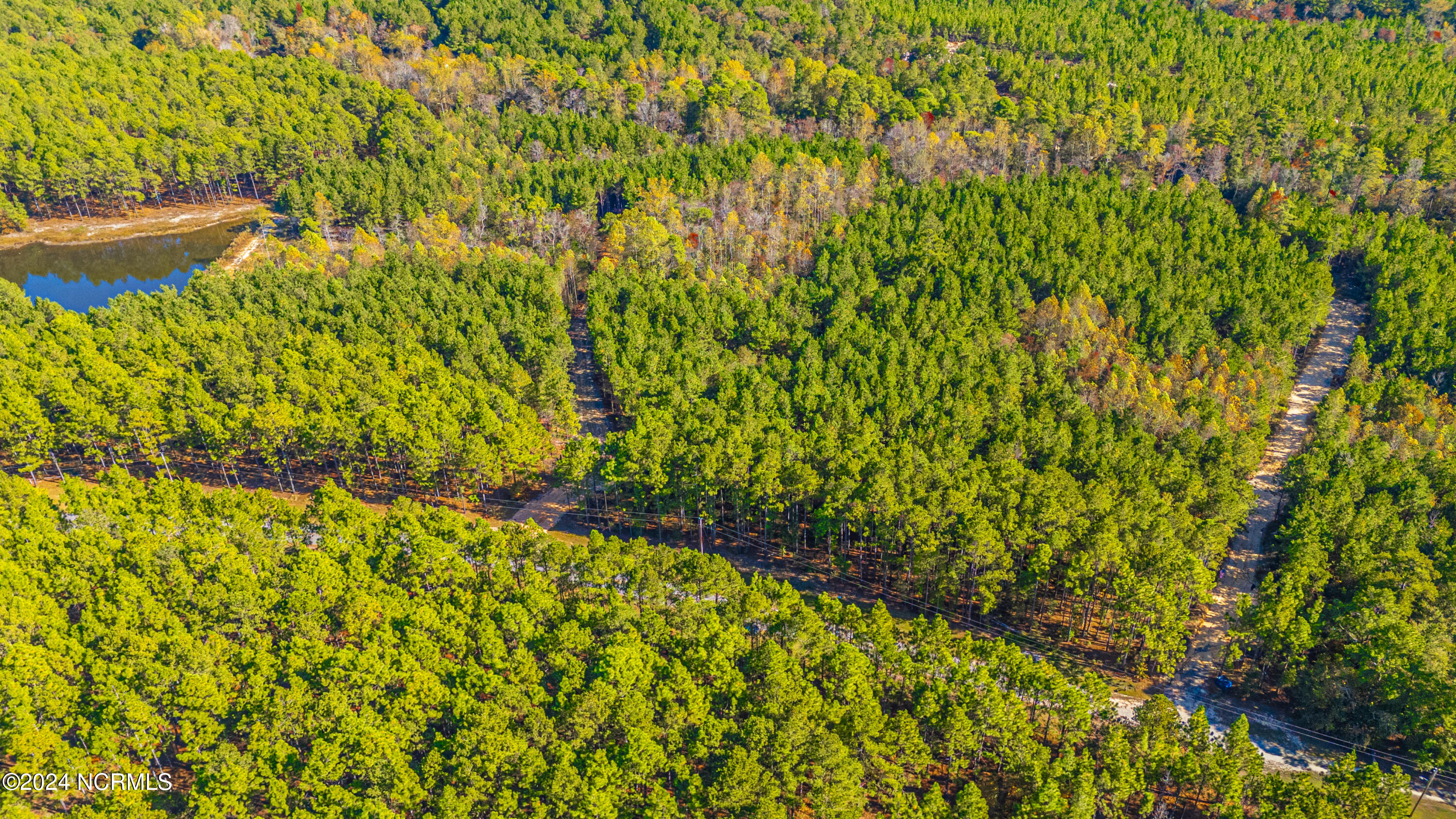 Tbd Tbd Mcbride Road Jackson Springs, NC 27281 - Photo 4 of 15 Lot 12 The Farm 8.7 Acres