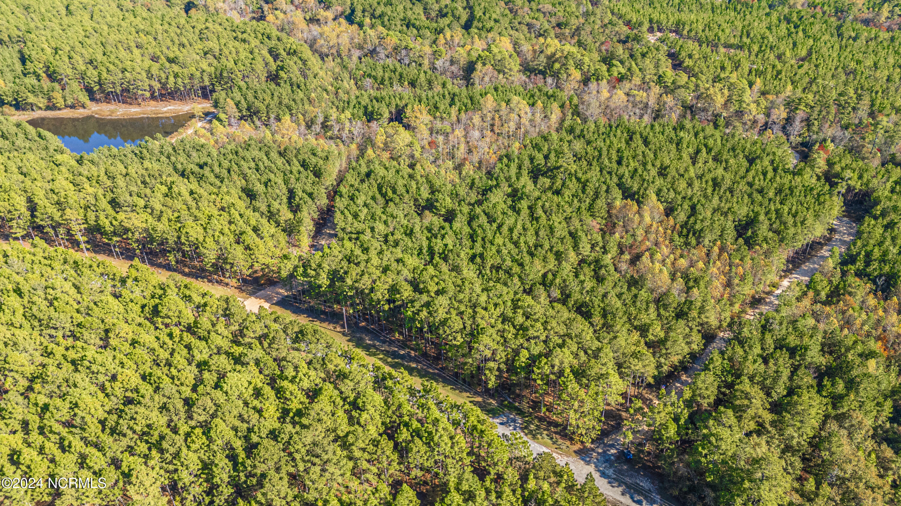 Tbd Tbd Mcbride Road Jackson Springs, NC 27281 - Photo 8 of 15 Lot 12 The Farm 8.7 Acres
