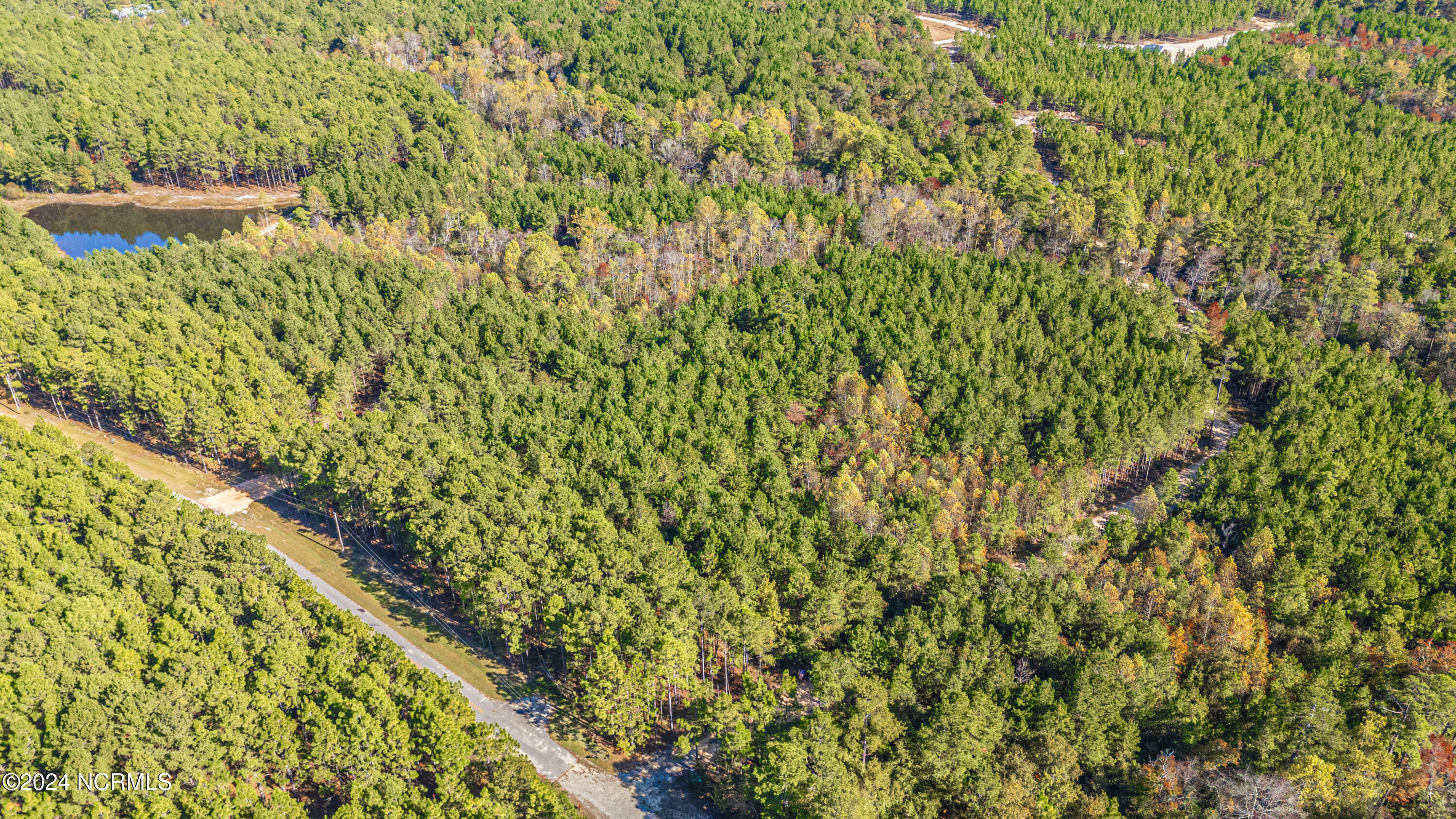 Tbd Tbd Mcbride Road Jackson Springs, NC 27281 - Photo 9 of 15 Lot 12 The Farm 8.7 Acres