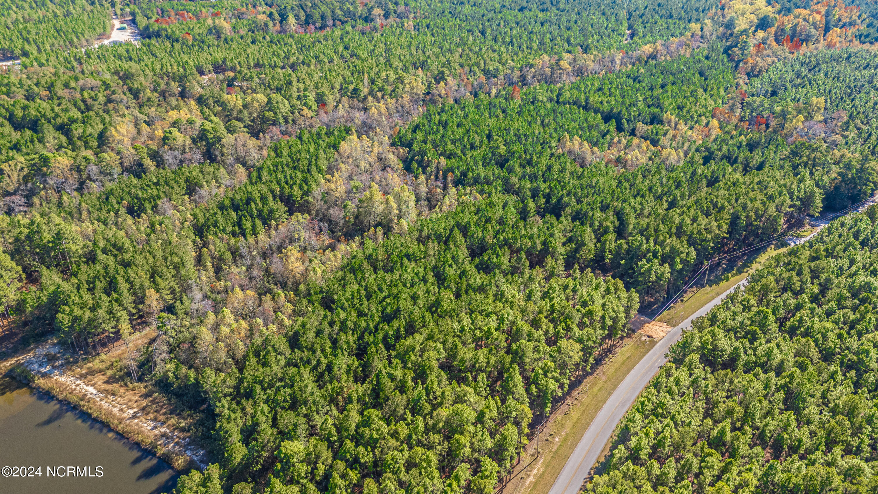 Tbd Tbd Mcbride Road Jackson Springs, NC 27281 - Photo 10 of 15 Lot 12 The Farm 8.7 Acres