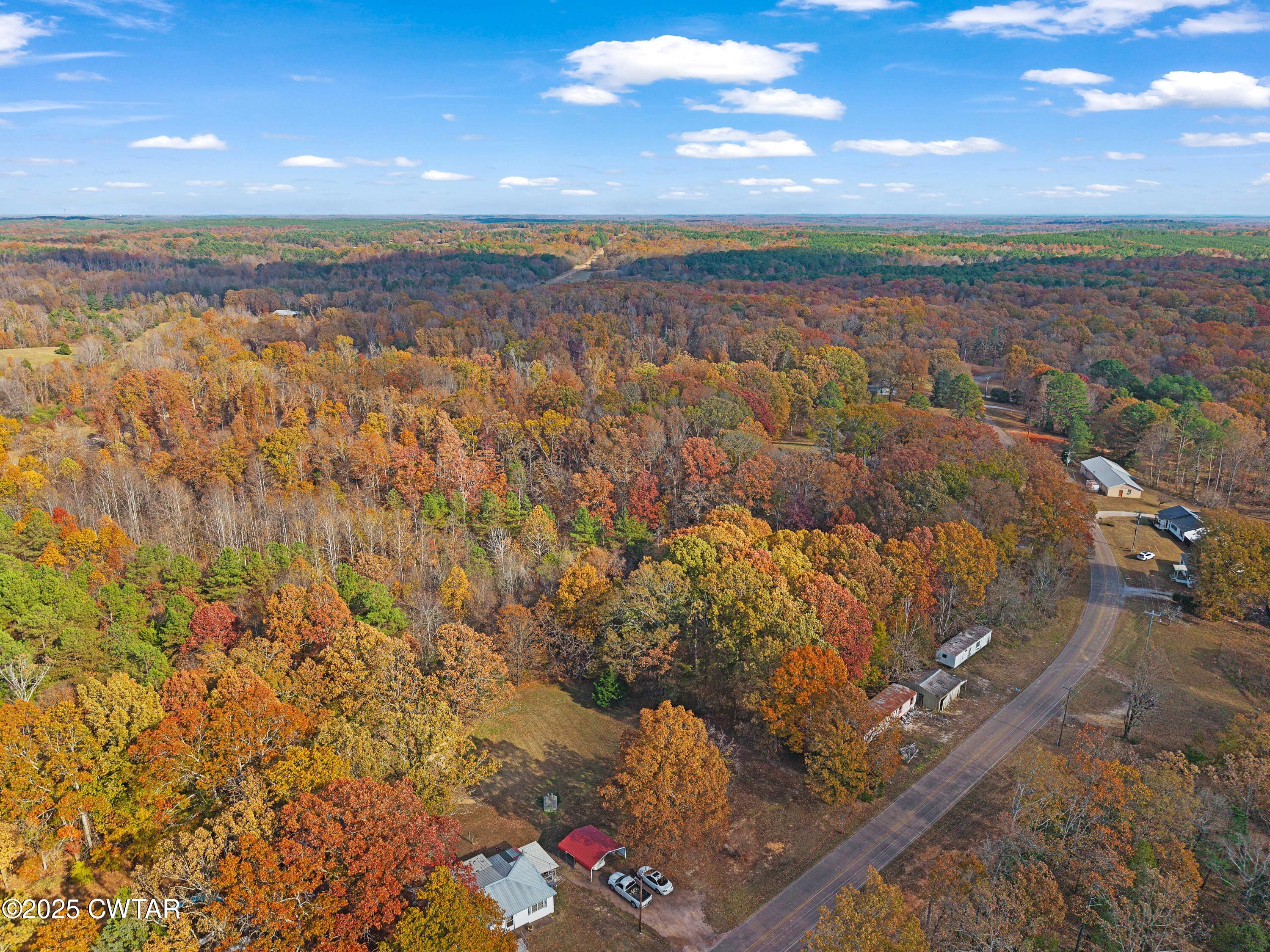 315 Roby Road Reagan, TN 38368 - Photo 11 of 13 DJI_20251115133253_0126_D