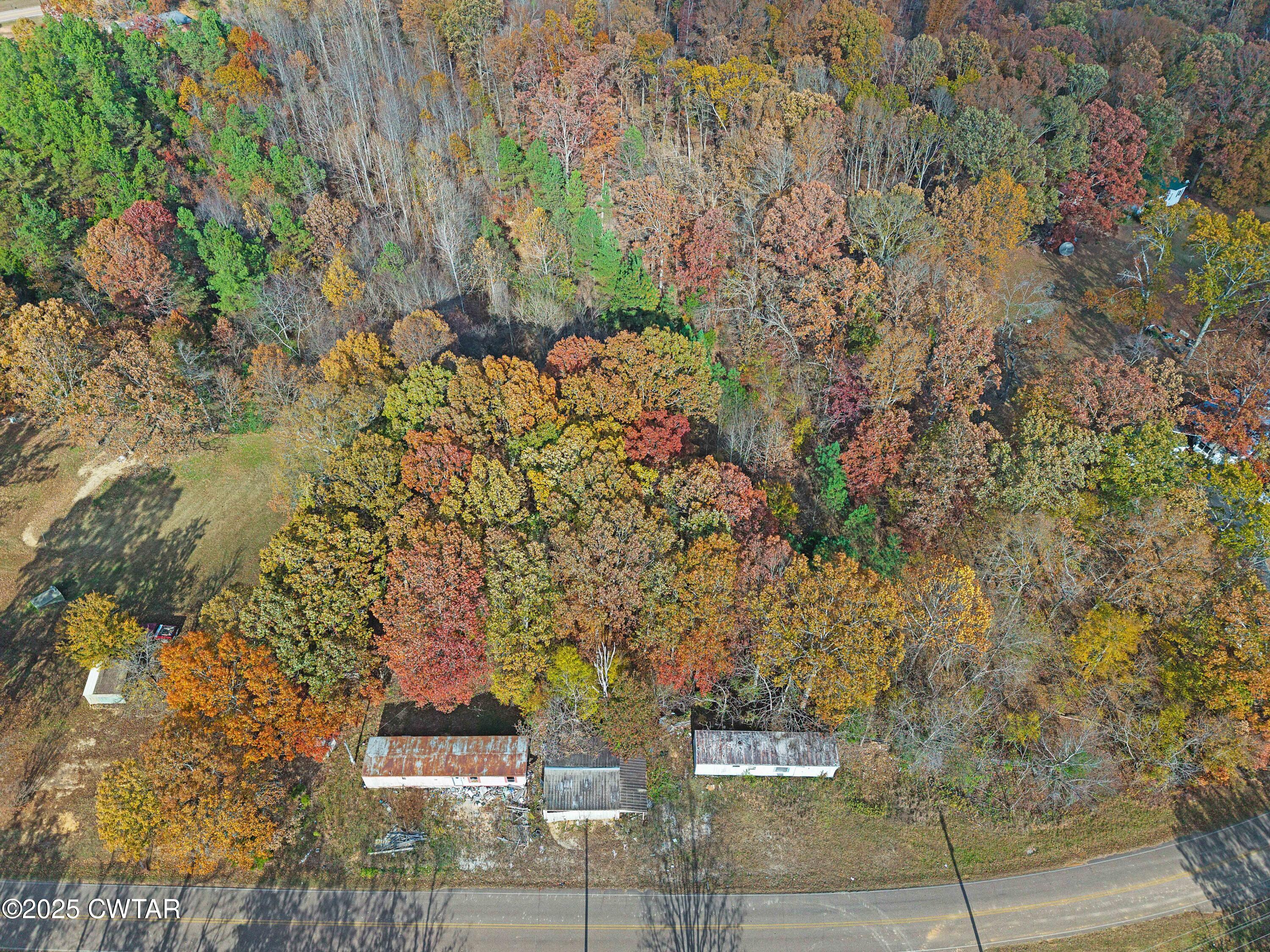 315 Roby Road Reagan, TN 38368 - Photo 3 of 13 DJI_20251115133400_0136_D