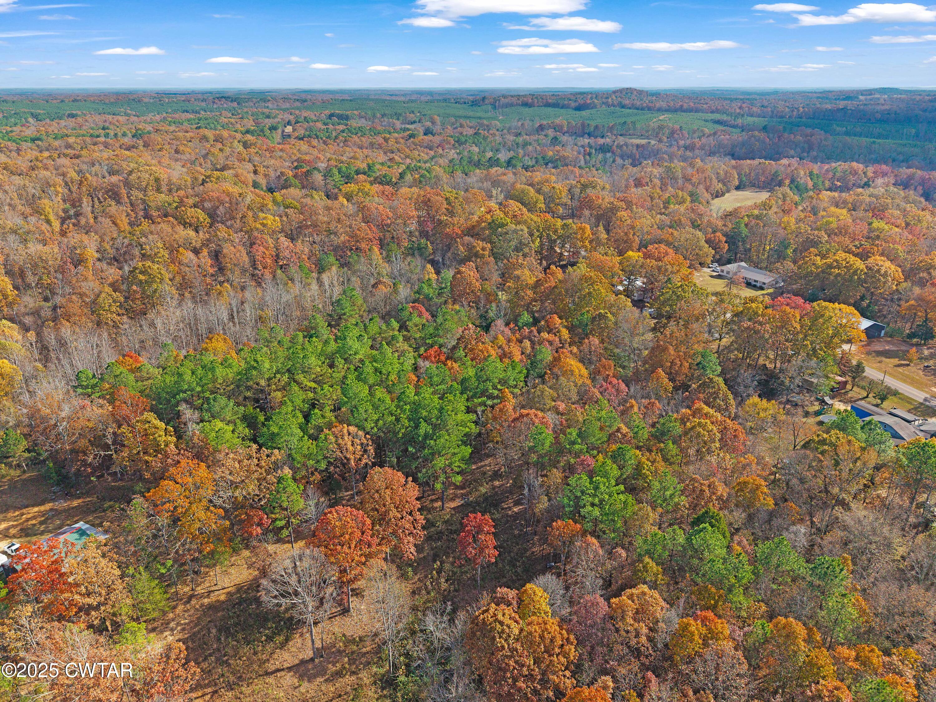 315 Roby Road Reagan, TN 38368 - Photo 5 of 13 DJI_20251115133020_0106_D