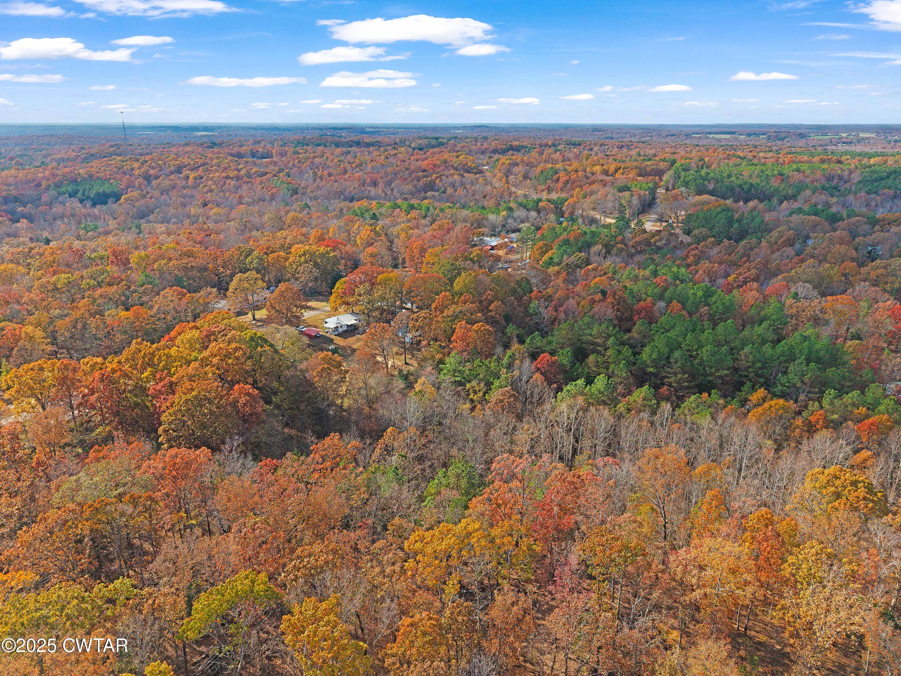 315 Roby Road Reagan, TN 38368 - Photo 6 of 13 DJI_20251115132855_0096_D