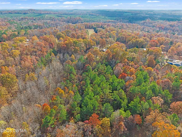 a view of city and ocean