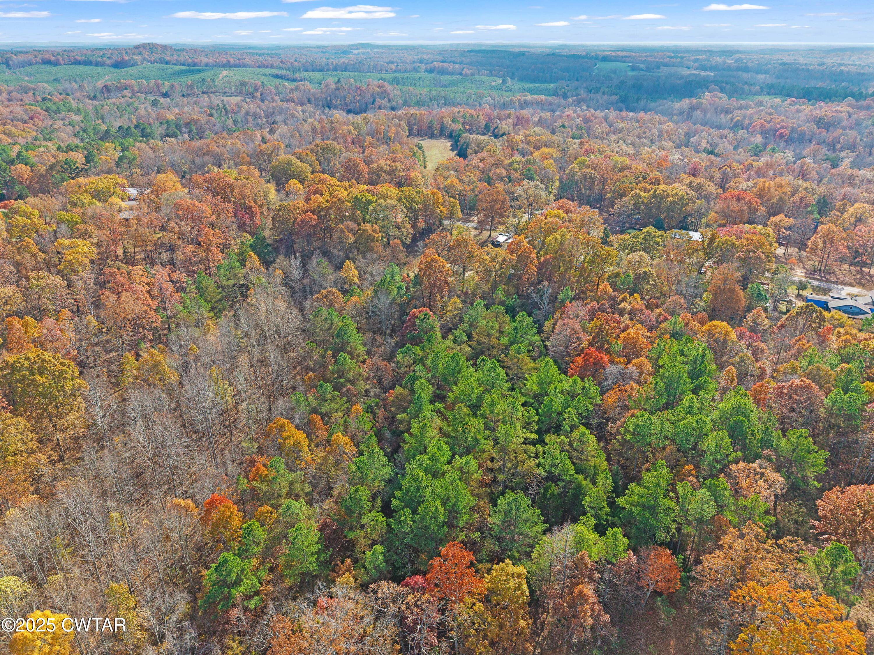 315 Roby Road Reagan, TN 38368 - Photo 7 of 13 DJI_20251115132946_0101_D