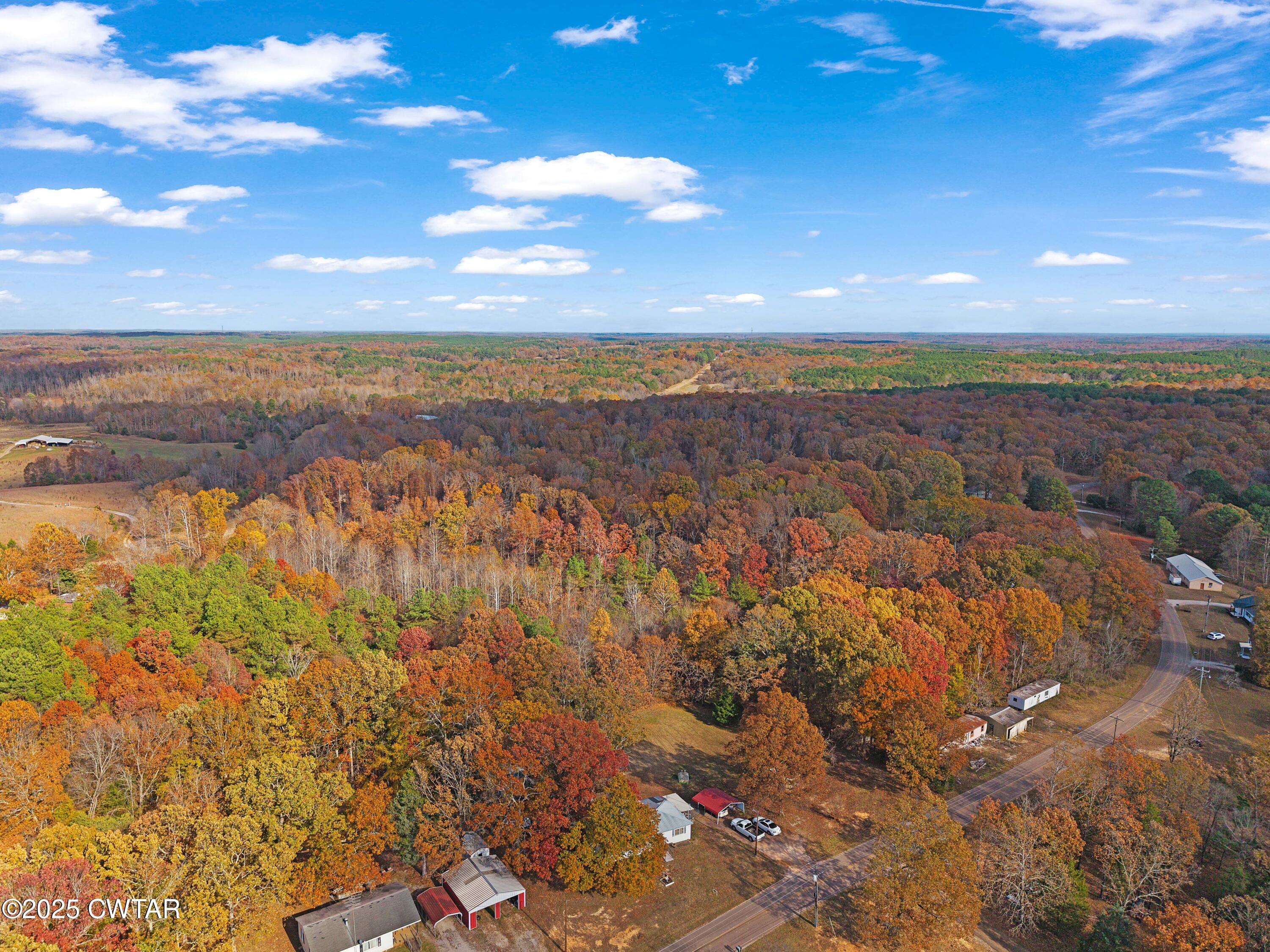 315 Roby Road Reagan, TN 38368 - Photo 9 of 13 DJI_20251115133209_0121_D