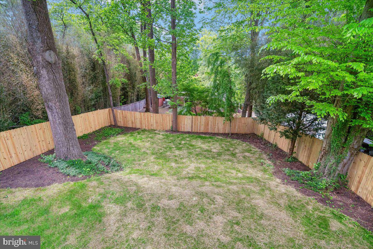4000 Adams Drive Silver Spring, MD 20902 - Photo 9 of 21 Serene backyard oasis with lush greenery.