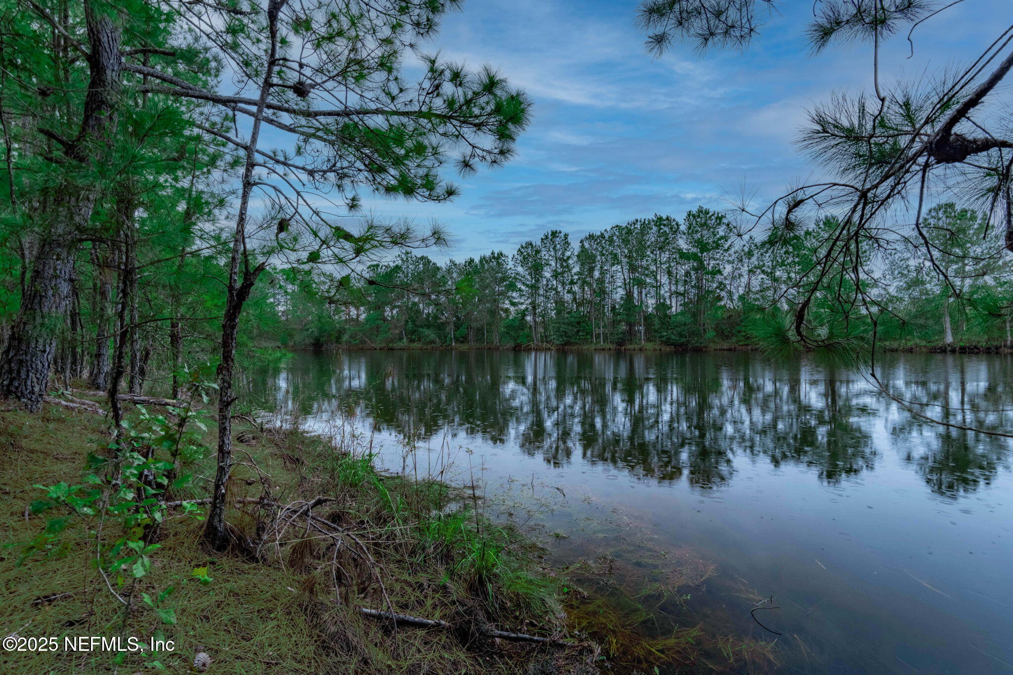 5705 CR 208, Unit C St. Augustine, FL 32092 - Photo 43 of 68 ISO Photo_5705 CR 208_StAug FL_068