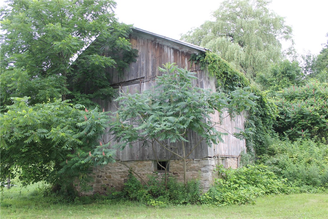 411 White Road Sweden, NY 14420 - Photo 25 of 25