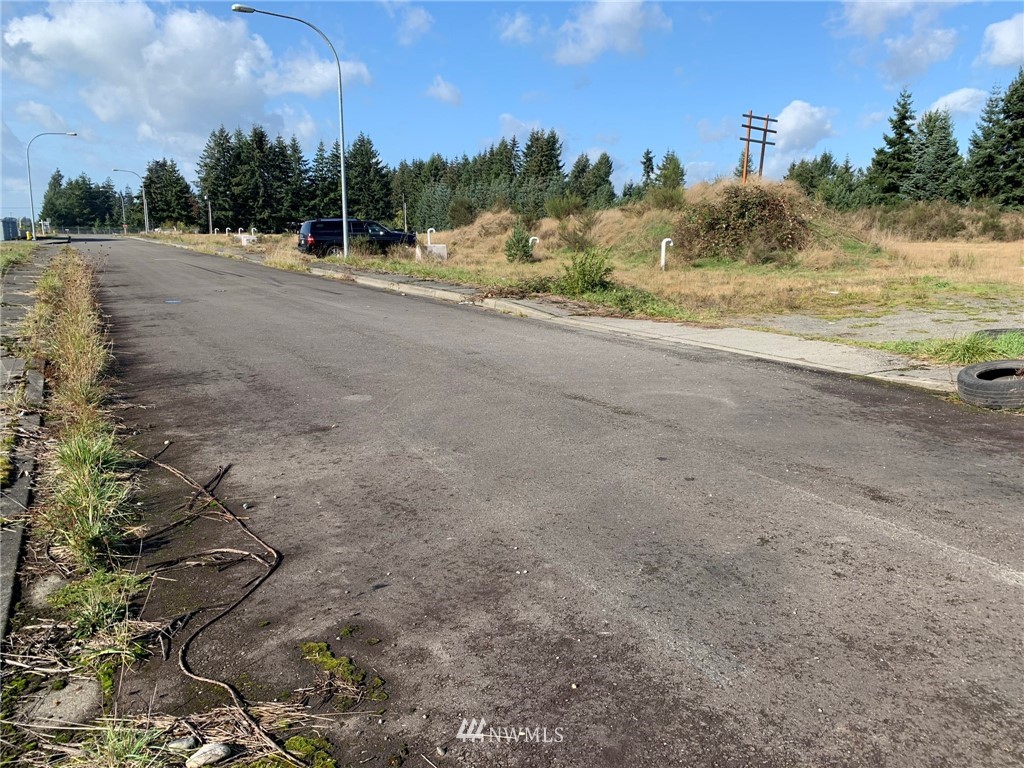 5805 192nd Avenue Southwest Rochester, WA 98579 - Photo 2 of 26 a view of a road with a yard