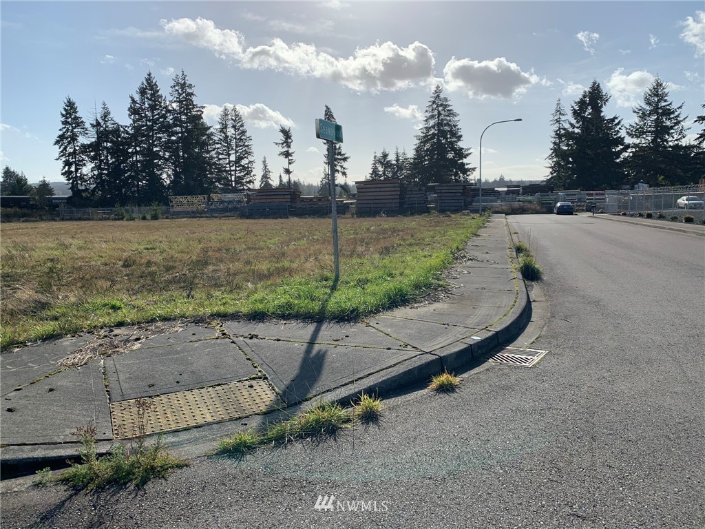 5805 192nd Avenue Southwest Rochester, WA 98579 - Photo 15 of 26 a view of a park