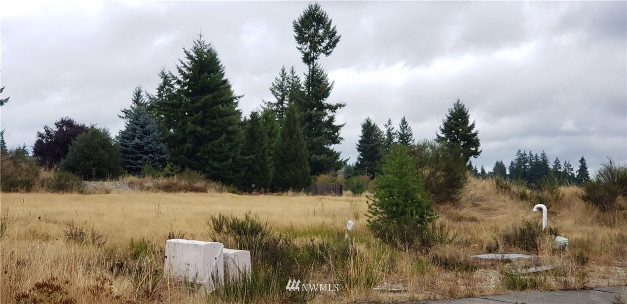 5805 192nd Avenue Southwest Rochester, WA 98579 - Photo 26 of 26 a view of a lake from a yard