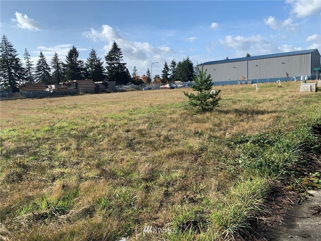 5805 192nd Avenue Southwest Rochester, WA 98579 - Photo 4 of 26 a view of lot of trees and houses in the background