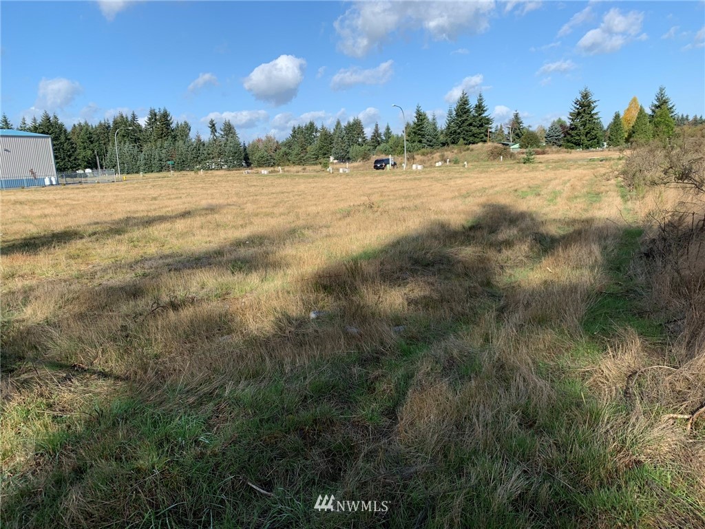 5805 192nd Avenue Southwest Rochester, WA 98579 - Photo 6 of 26 a view of an outdoor space and a yard