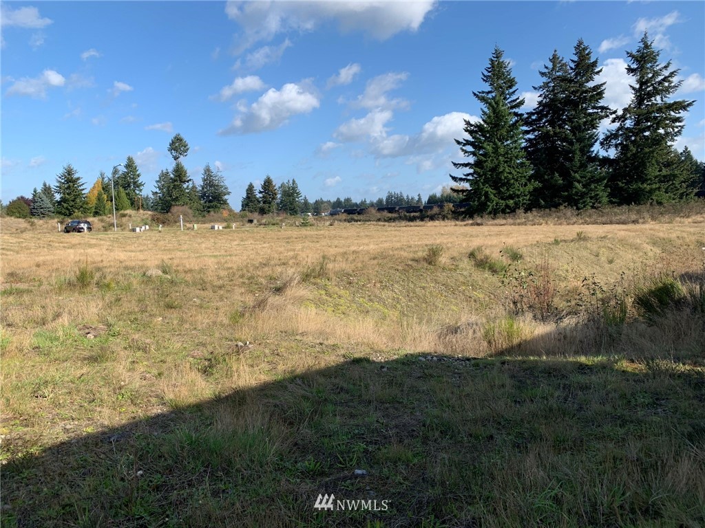 5805 192nd Avenue Southwest Rochester, WA 98579 - Photo 9 of 26 a view of an ocean and beach